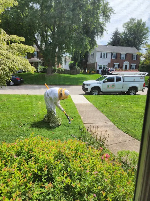LizExterminator co. LLC Picture 6