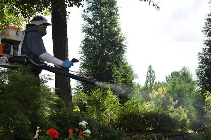LizExterminator co. LLC Picture 3