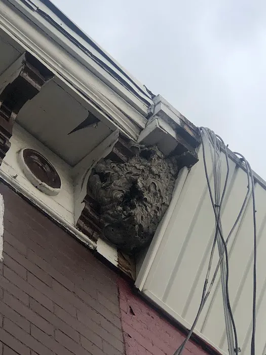 LizExterminator co. LLC Picture 1