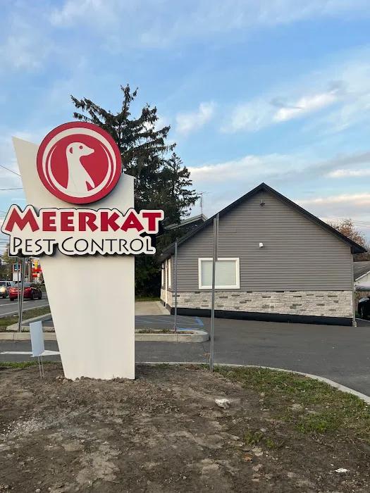 Meerkat Pest Control Picture 10
