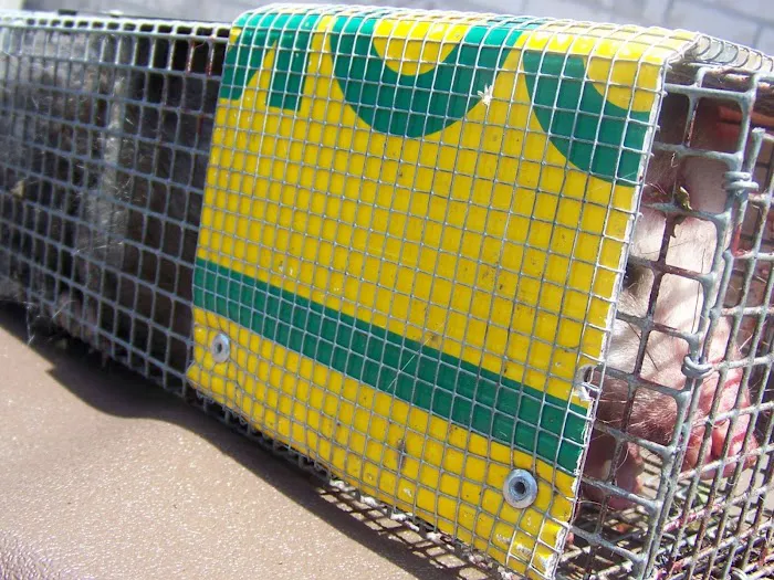 Animal & Wildlife Services Picture 6