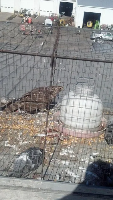 Animal & Wildlife Services Picture 5