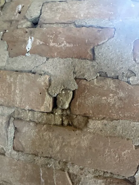 Thomas Pest Services Picture 10