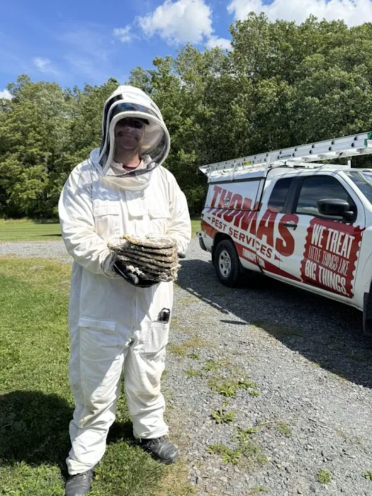 Thomas Pest Services Picture 4