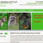 Pace Wildlife Solutions of CT