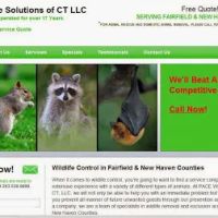 Pace Wildlife Solutions of CT ico