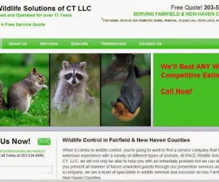 Pace Wildlife Solutions of CT