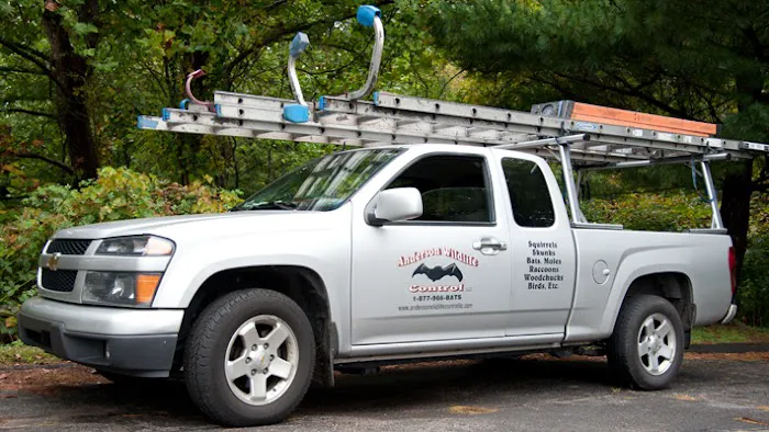 Anderson Wildlife Control LLC Picture 4
