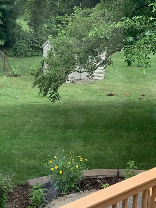 Anderson Wildlife Control LLC Picture 5