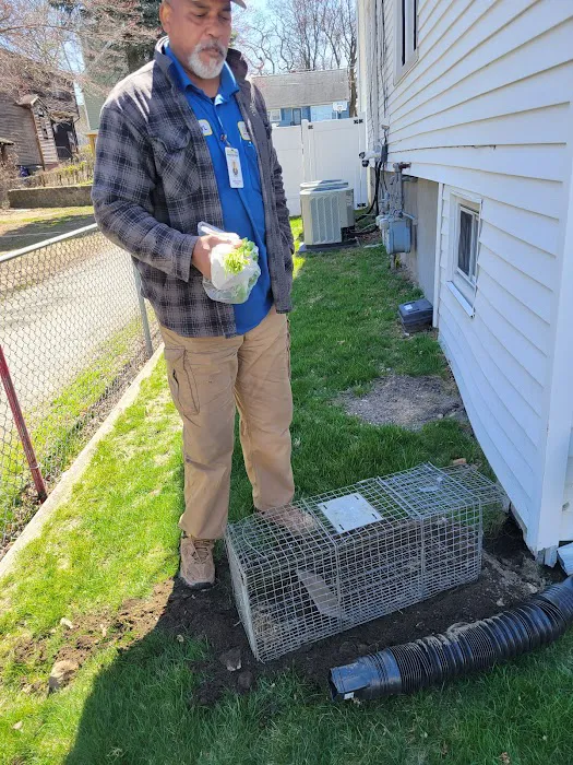Eliminate 'Em Pest Control Services Picture 4