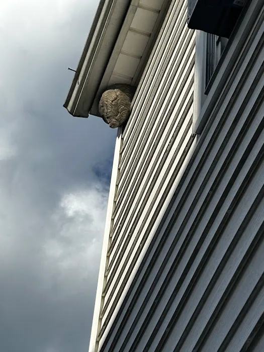 Eliminate 'Em Pest Control Services Picture 3