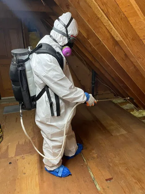 Eliminate 'Em Pest Control Services Picture 2