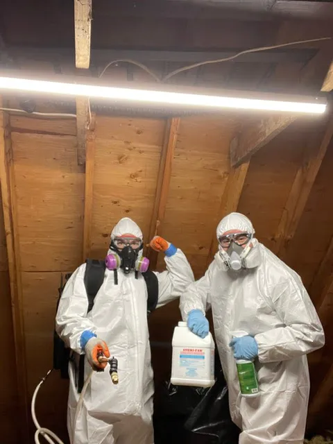 Eliminate 'Em Pest Control Services Picture 7
