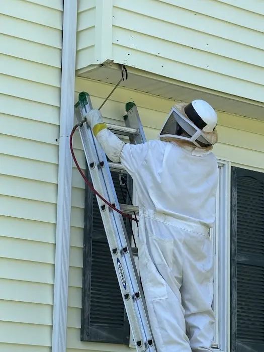 Eliminate 'Em Pest Control Services Picture 5