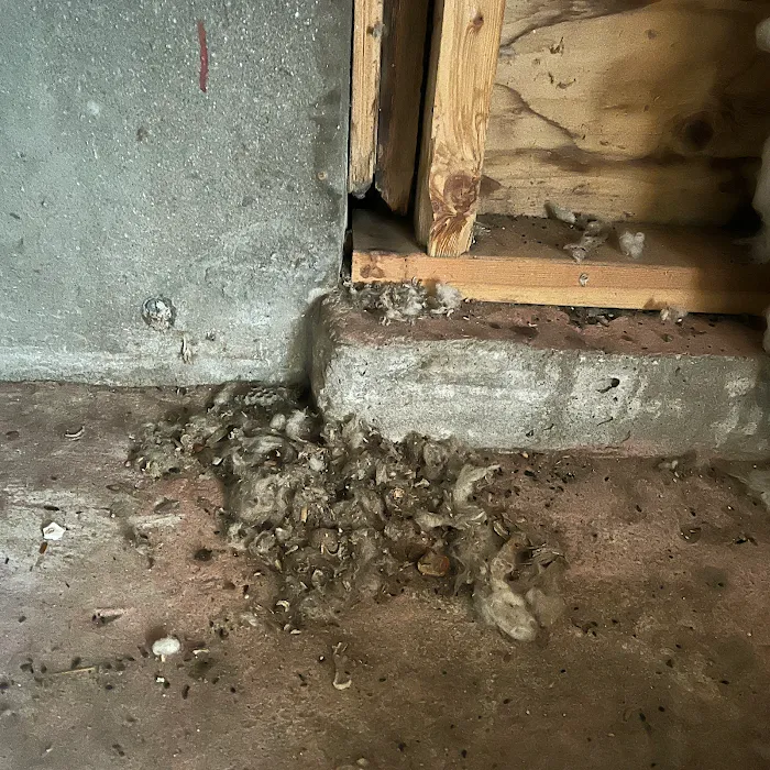 Connecticut Termite and Pest Control, LLC Picture 9