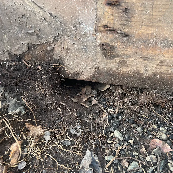 Connecticut Termite and Pest Control, LLC Picture 8