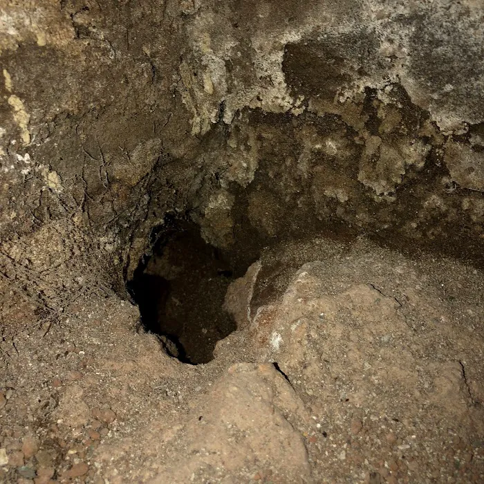 Connecticut Termite and Pest Control, LLC Picture 10