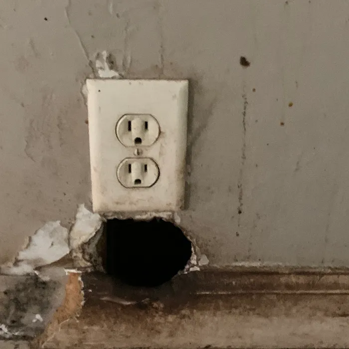 Connecticut Termite and Pest Control, LLC Picture 5