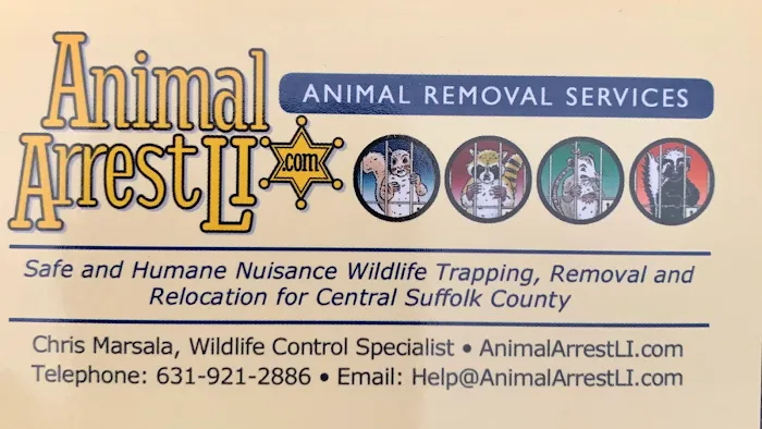 Animal Arrest LI Wildlife Removal and Control Picture 4