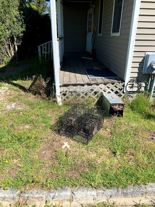 Animal Arrest LI Wildlife Removal and Control Picture 2