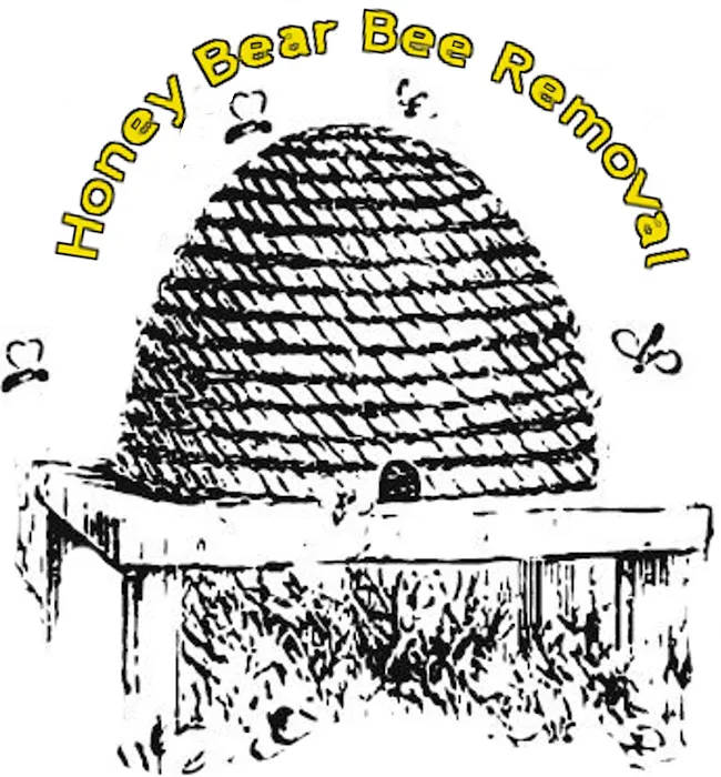 Honey Bear Bee Removal Picture 4