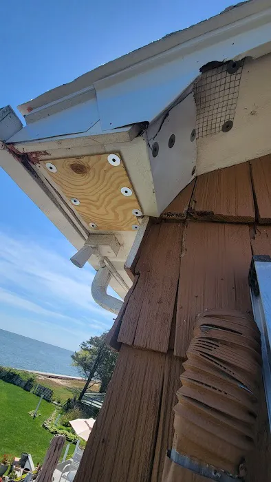 Sunrise Pest Control and Wildlife Removal Picture 6