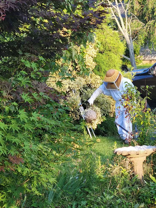 Sunrise Pest Control and Wildlife Removal Picture 5