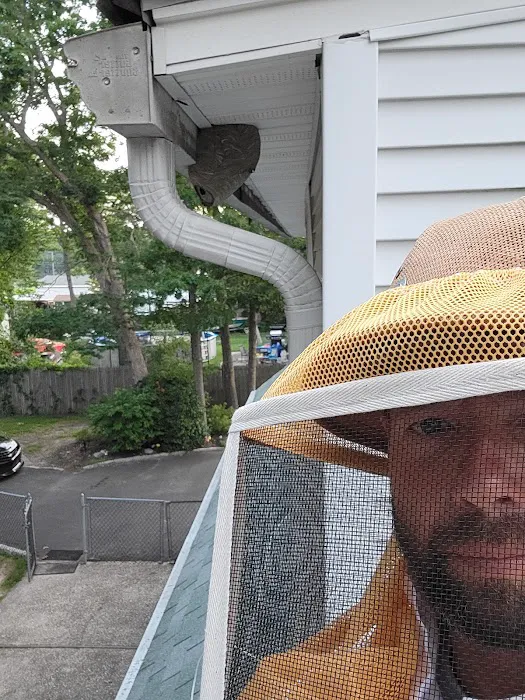 Sunrise Pest Control and Wildlife Removal Picture 2