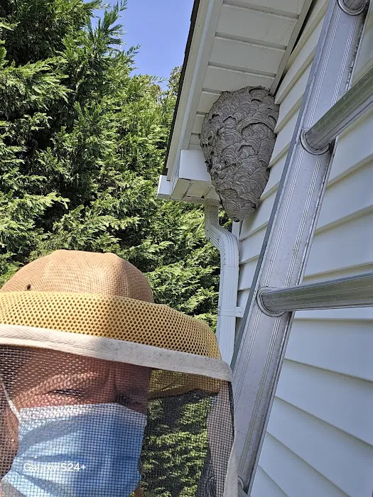 Sunrise Pest Control and Wildlife Removal Picture 1