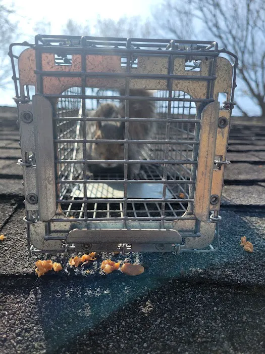 Sunrise Pest Control and Wildlife Removal Picture 4