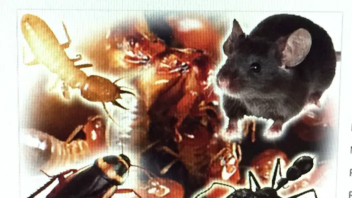 General Exterminating Picture 2