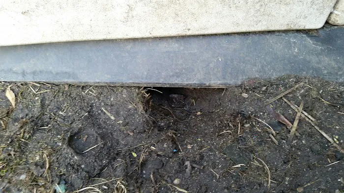 General Exterminating Picture 3