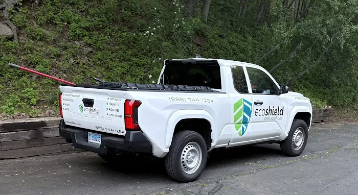 EcoShield Pest Solutions Picture 3