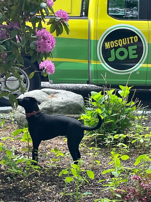 Mosquito Joe of CT ShoreLine East Picture 5