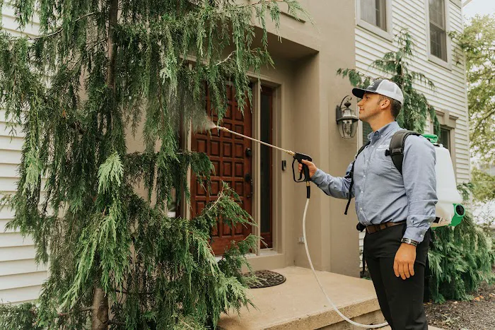 Akita Pest Control Picture 9