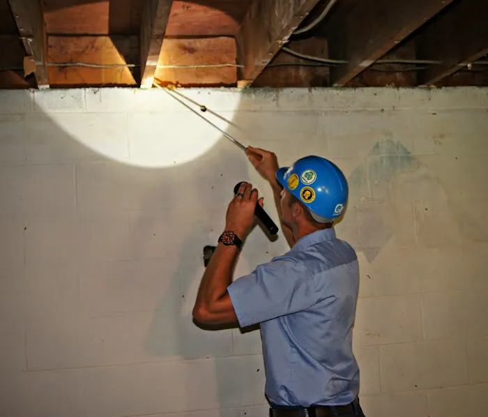 See Pest Control Picture 1