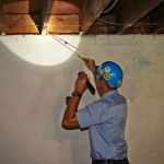 See Pest Control