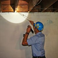 See Pest Control ico