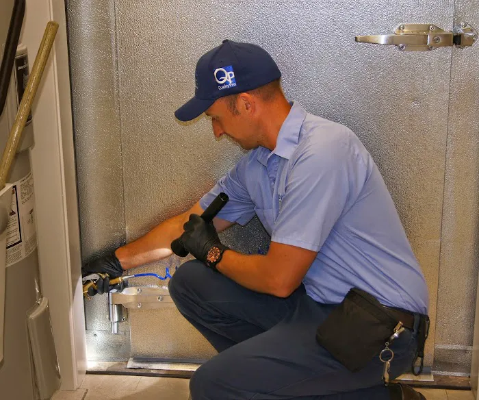 See Pest Control Picture 5