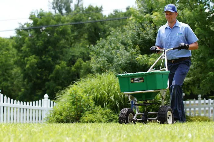 See Pest Control Picture 10