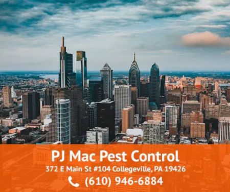 PJ Mac Pest Control