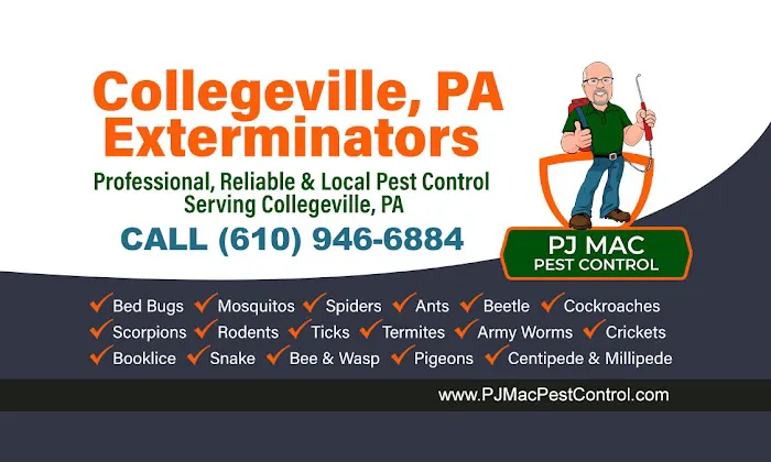 PJ Mac Pest Control Picture 6