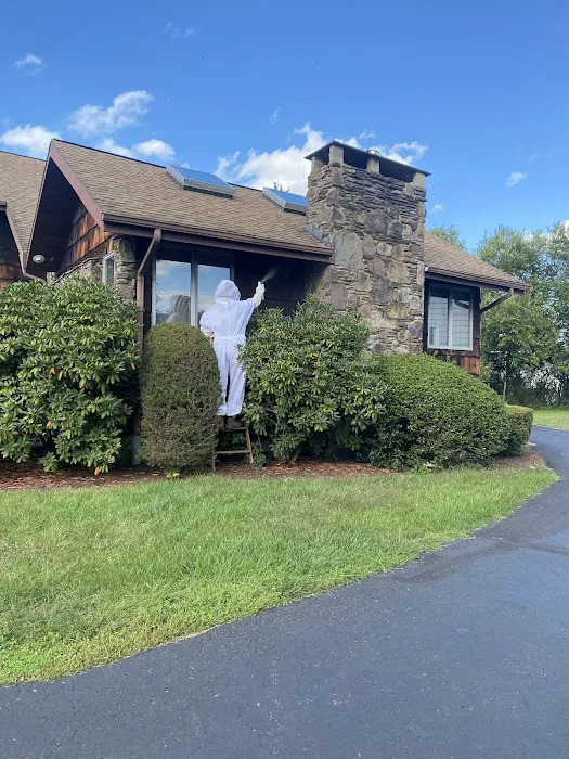 The Pest Rangers Wilkes-Barre: Termite and Pest Control Picture 10