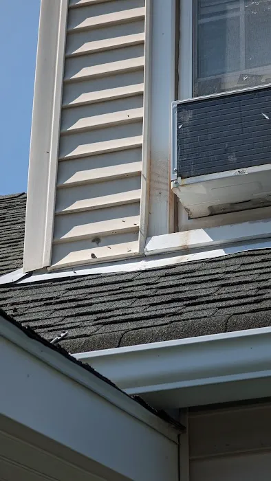The Pest Rangers Wilkes-Barre: Termite and Pest Control Picture 6