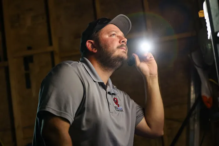 The Pest Rangers Wilkes-Barre: Termite and Pest Control Picture 9