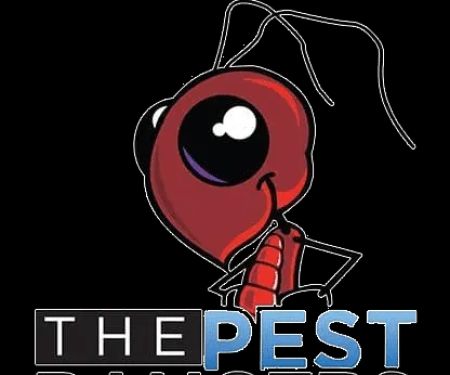 The Pest Rangers Wilkes-Barre: Termite and Pest Control