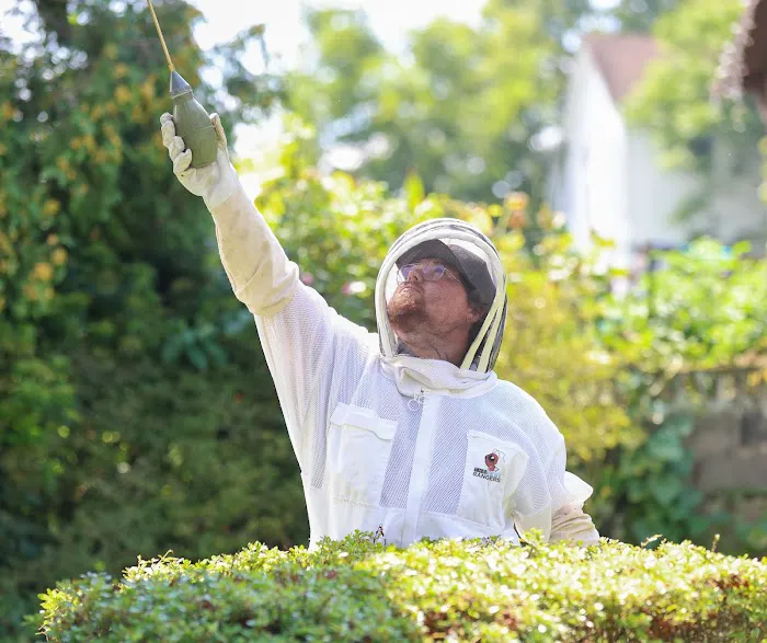 The Pest Rangers Wilkes-Barre: Termite and Pest Control Picture 5