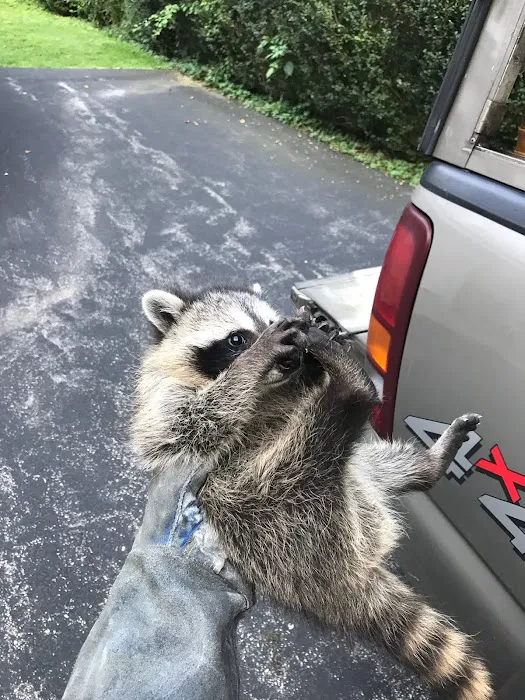 A Wildlife Pro Picture 7