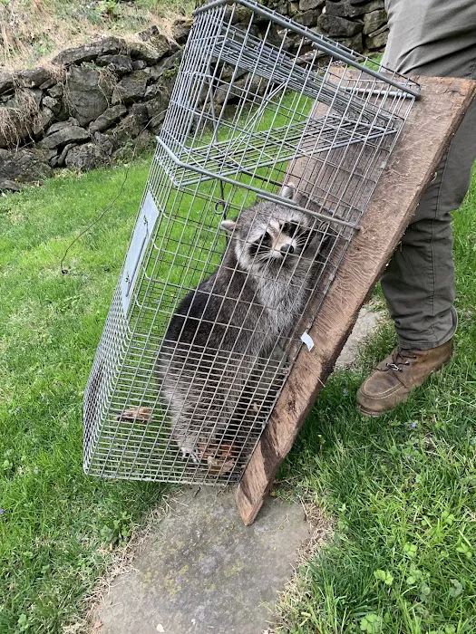 A Wildlife Pro Picture 3