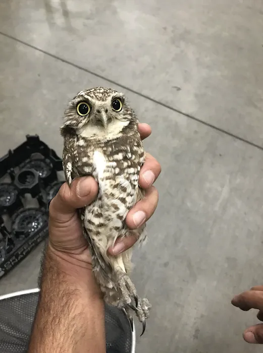 A Wildlife Pro Picture 1